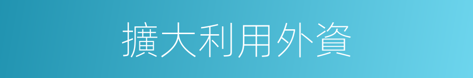 擴大利用外資的同義詞