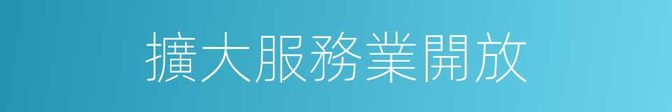 擴大服務業開放的同義詞