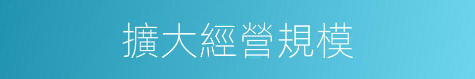 擴大經營規模的同義詞