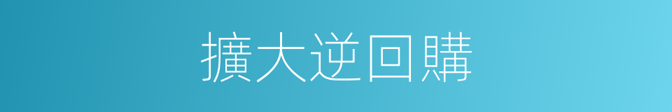 擴大逆回購的同義詞