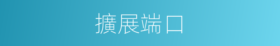擴展端口的同義詞