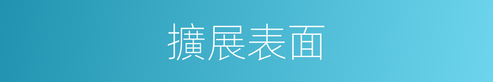 擴展表面的同義詞