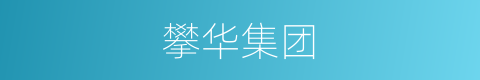 攀华集团的同义词