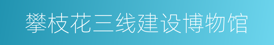 攀枝花三线建设博物馆的同义词