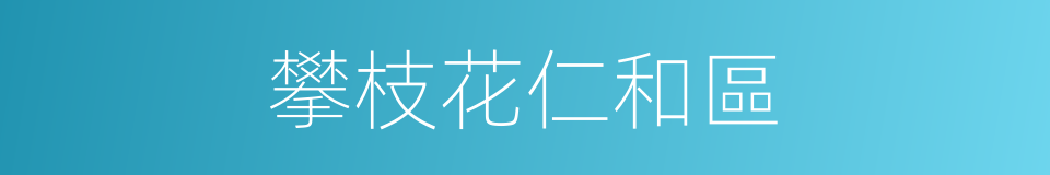 攀枝花仁和區的同義詞