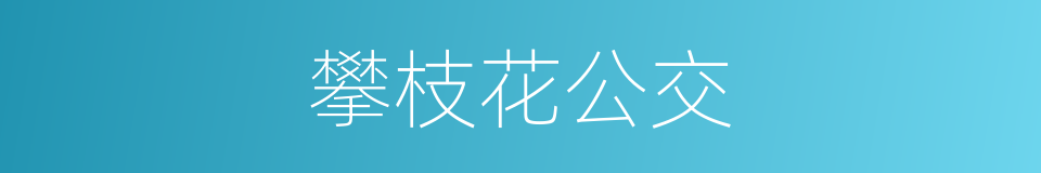 攀枝花公交的同义词