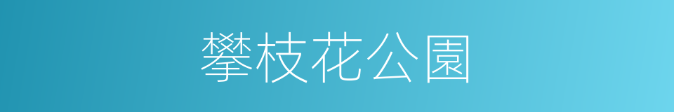 攀枝花公園的同義詞