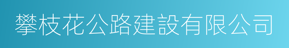 攀枝花公路建設有限公司的同義詞