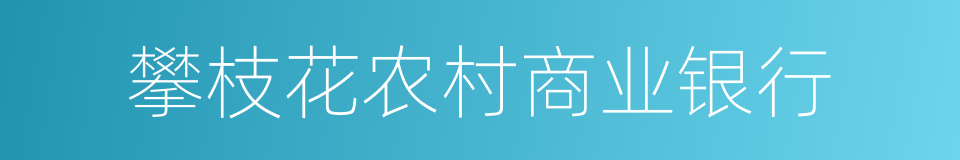 攀枝花农村商业银行的同义词