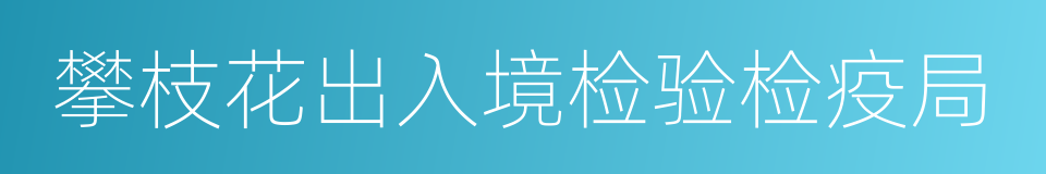 攀枝花出入境检验检疫局的同义词