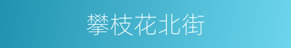 攀枝花北街的同义词