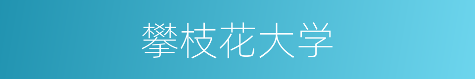 攀枝花大学的同义词