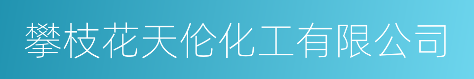 攀枝花天伦化工有限公司的同义词