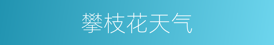 攀枝花天气的同义词