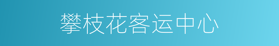 攀枝花客运中心的同义词