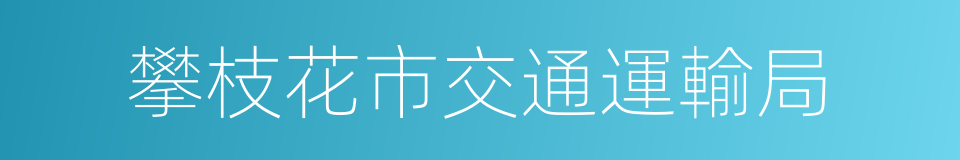 攀枝花市交通運輸局的同義詞