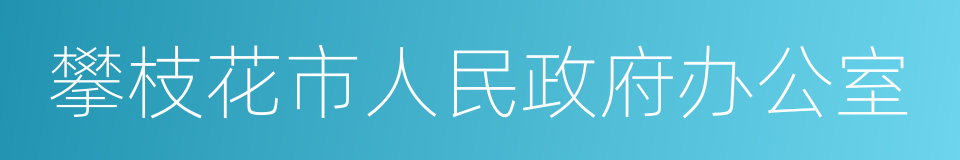 攀枝花市人民政府办公室的同义词