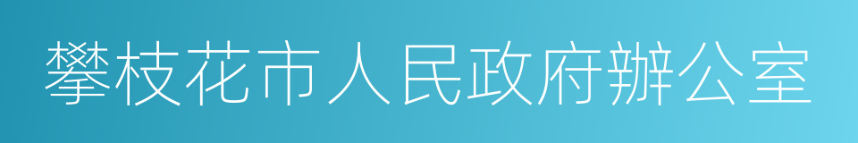 攀枝花市人民政府辦公室的同義詞