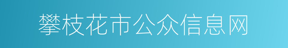 攀枝花市公众信息网的同义词