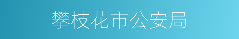 攀枝花市公安局的同义词