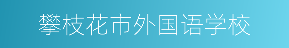 攀枝花市外国语学校的同义词