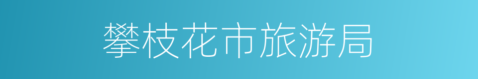 攀枝花市旅游局的同义词