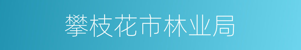攀枝花市林业局的同义词