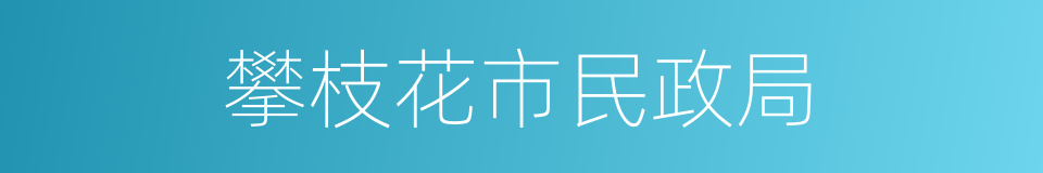 攀枝花市民政局的同义词