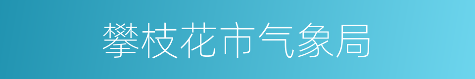 攀枝花市气象局的同义词