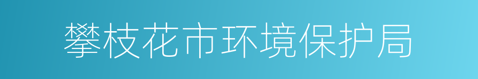 攀枝花市环境保护局的意思