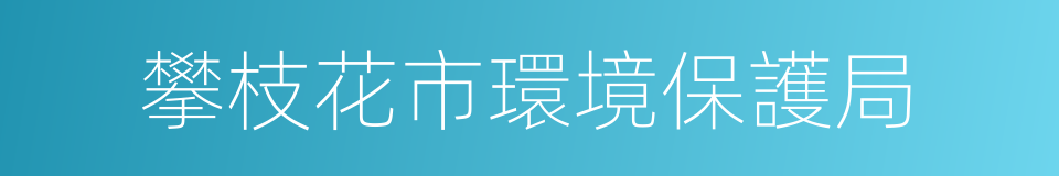攀枝花市環境保護局的同義詞