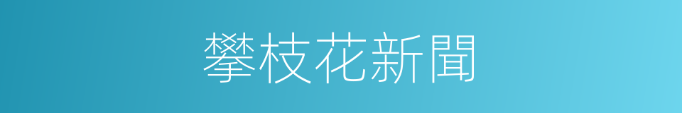 攀枝花新聞的同義詞