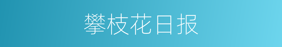 攀枝花日报的同义词