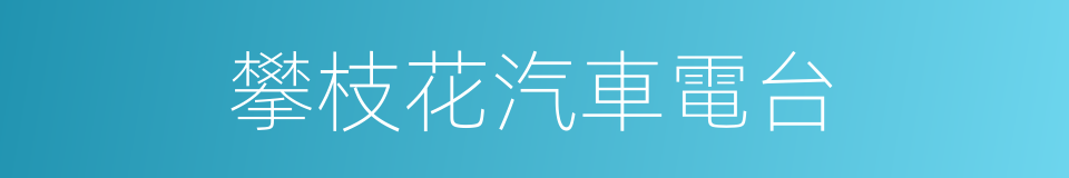 攀枝花汽車電台的同義詞