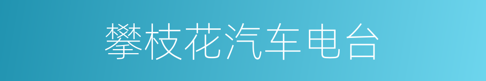 攀枝花汽车电台的同义词