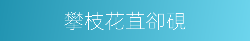 攀枝花苴卻硯的同義詞