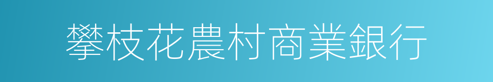 攀枝花農村商業銀行的同義詞