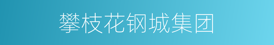 攀枝花钢城集团的同义词