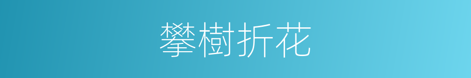 攀樹折花的同義詞