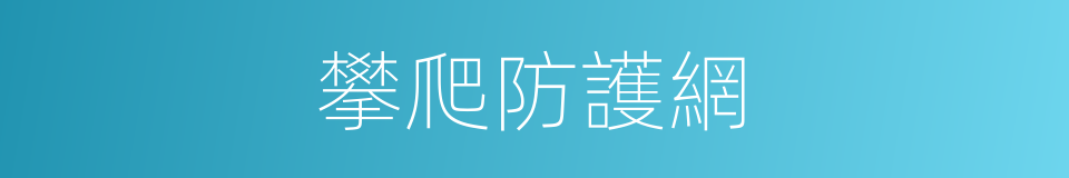 攀爬防護網的同義詞