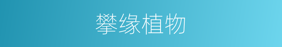 攀缘植物的同义词