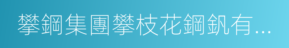 攀鋼集團攀枝花鋼釩有限公司的同義詞