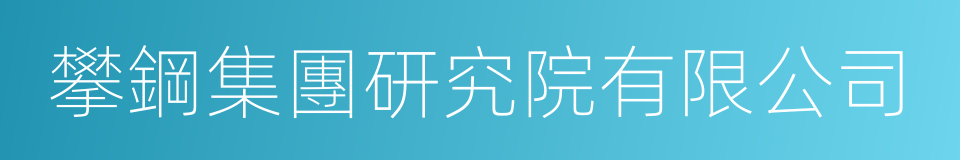 攀鋼集團研究院有限公司的意思