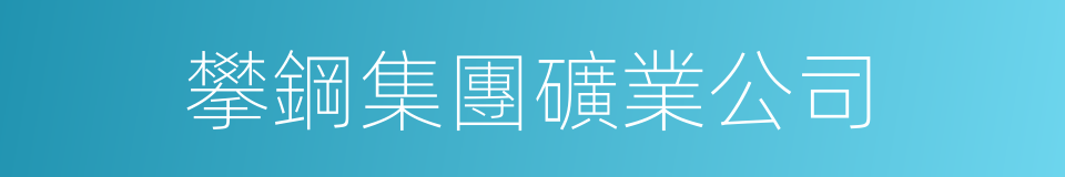 攀鋼集團礦業公司的同義詞