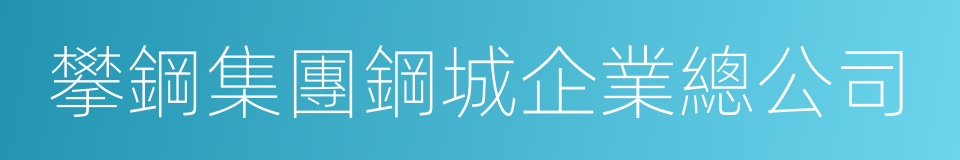 攀鋼集團鋼城企業總公司的同義詞