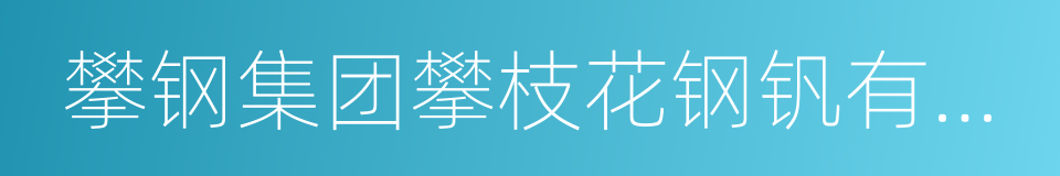 攀钢集团攀枝花钢钒有限公司的同义词