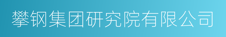 攀钢集团研究院有限公司的同义词