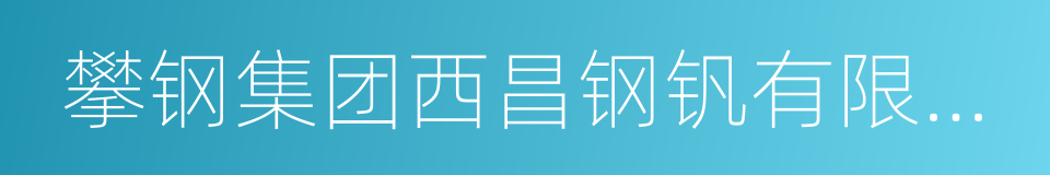 攀钢集团西昌钢钒有限公司的同义词