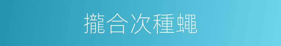 攏合次種蠅的同義詞