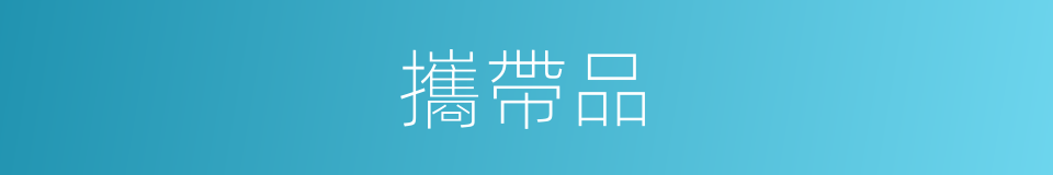 攜帶品的同義詞